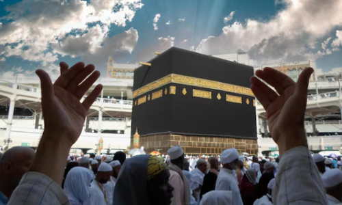 Screen Shot 2026-01-19 at 12.03.31